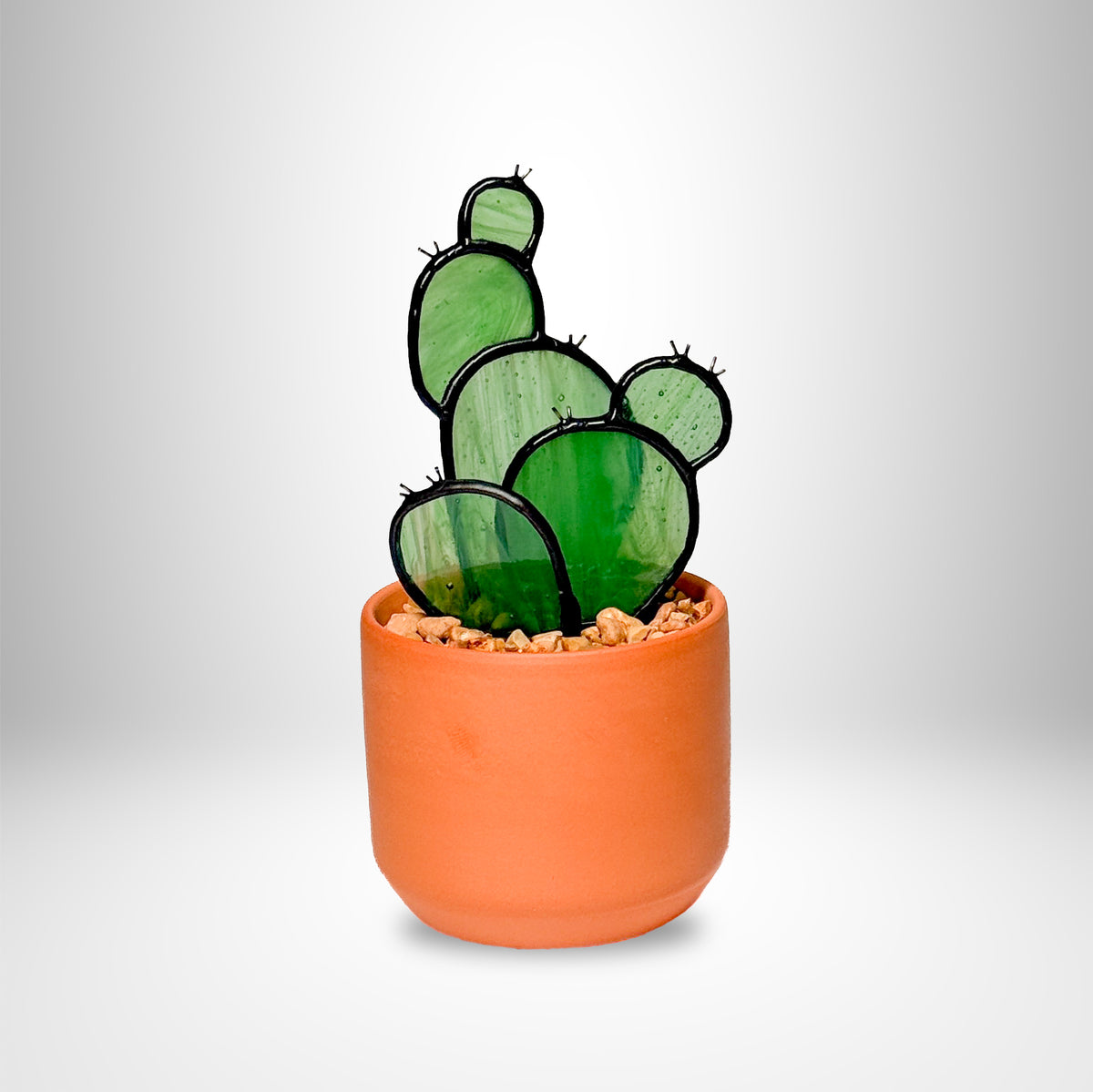 Prickly Pear Cactus - Small