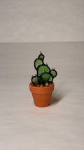 Prickly Pear Cactus - Mini