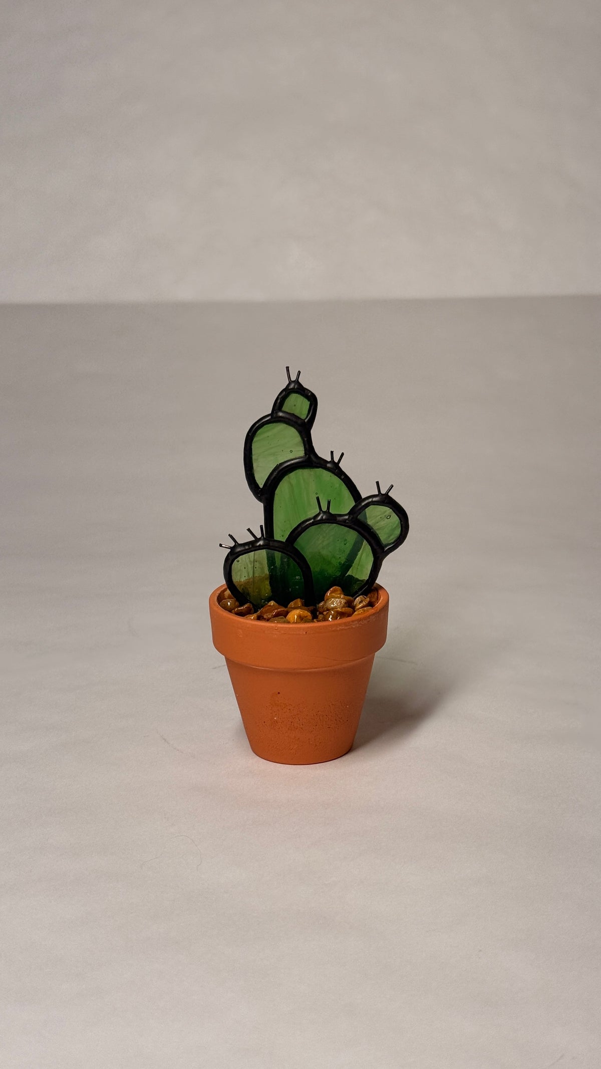 Prickly Pear Cactus - Mini