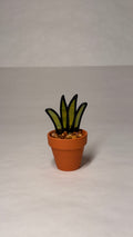 Snake Plant - Mini