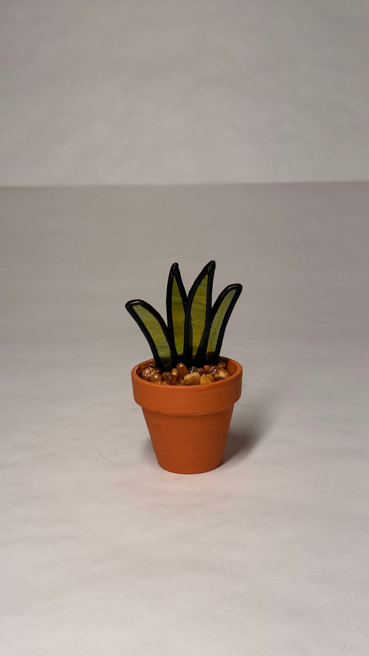 Snake Plant - Mini