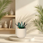 Agave Plant