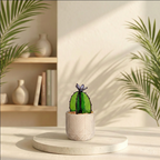 Barrel Cactus - Transparent