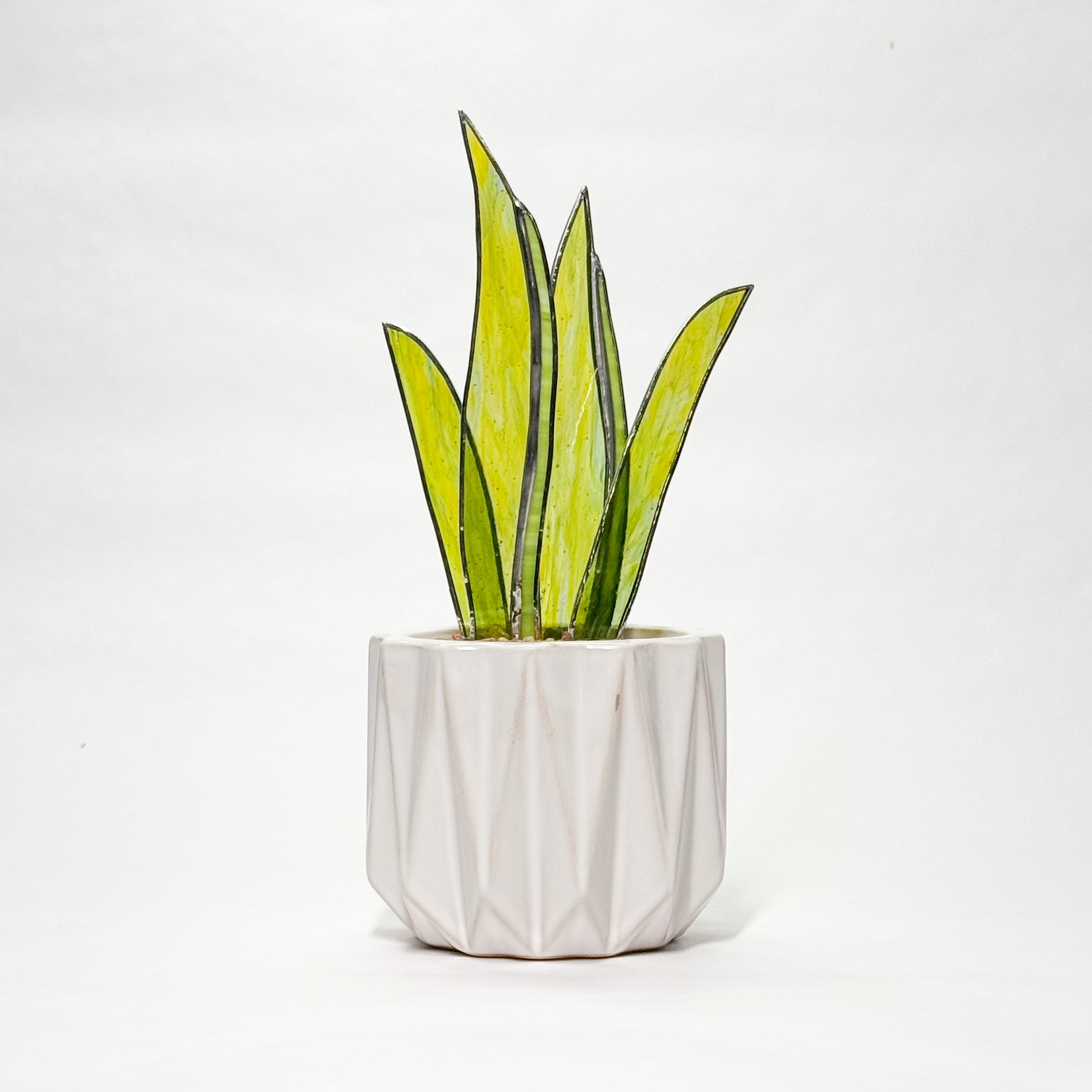 3D Stained Glass Snake Plant