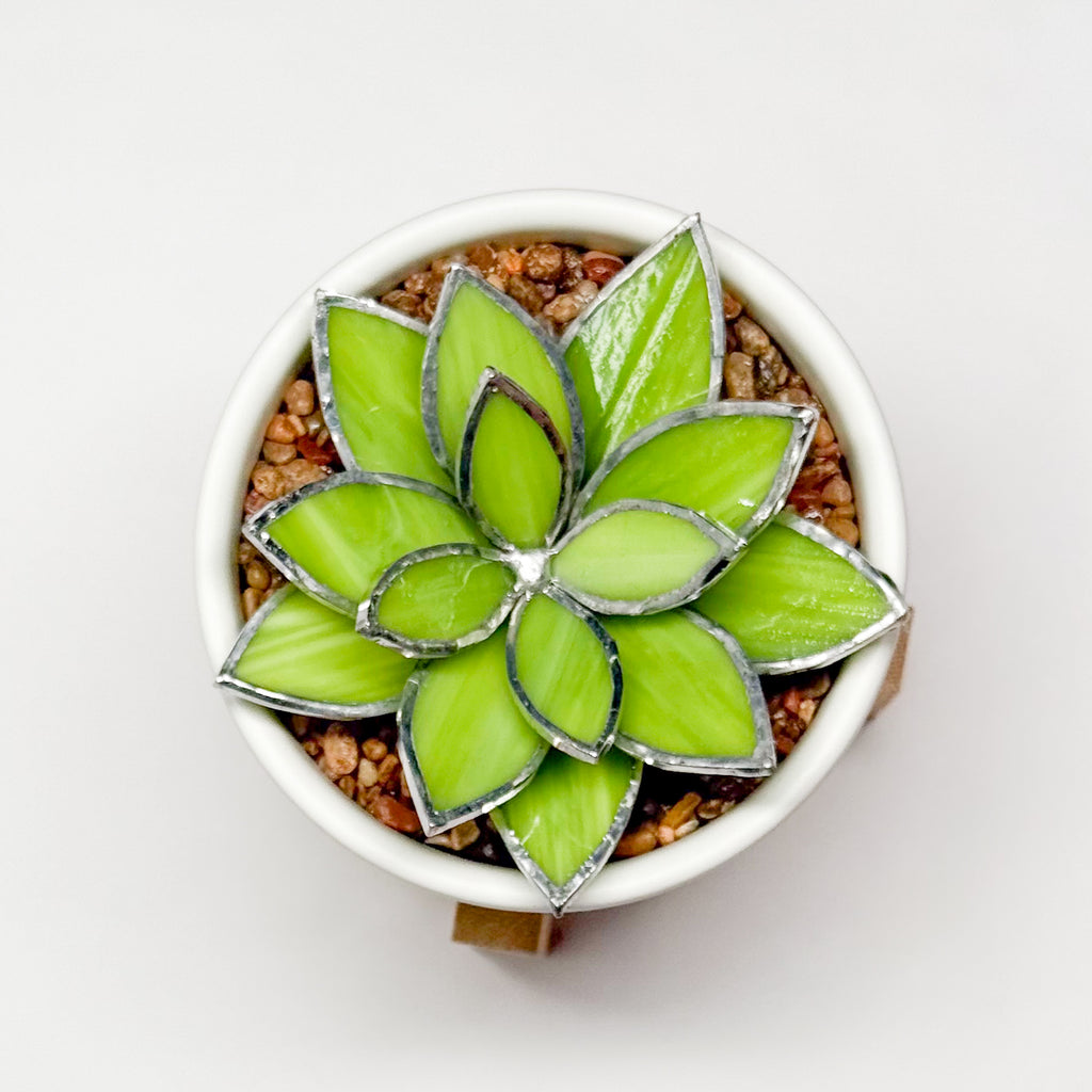 3D Stained Glass Opalina Succulent
