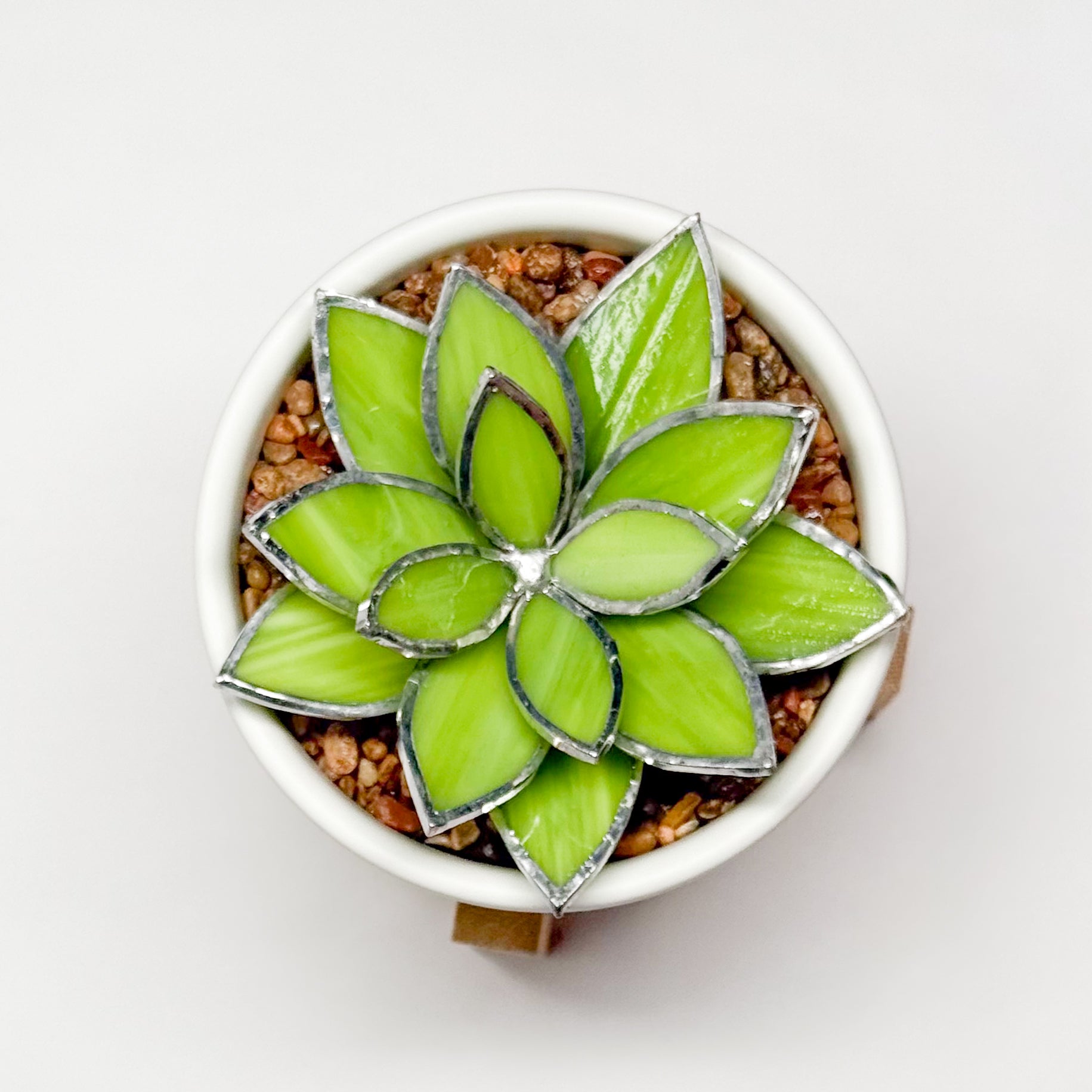 3D Stained Glass Opalina Succulent