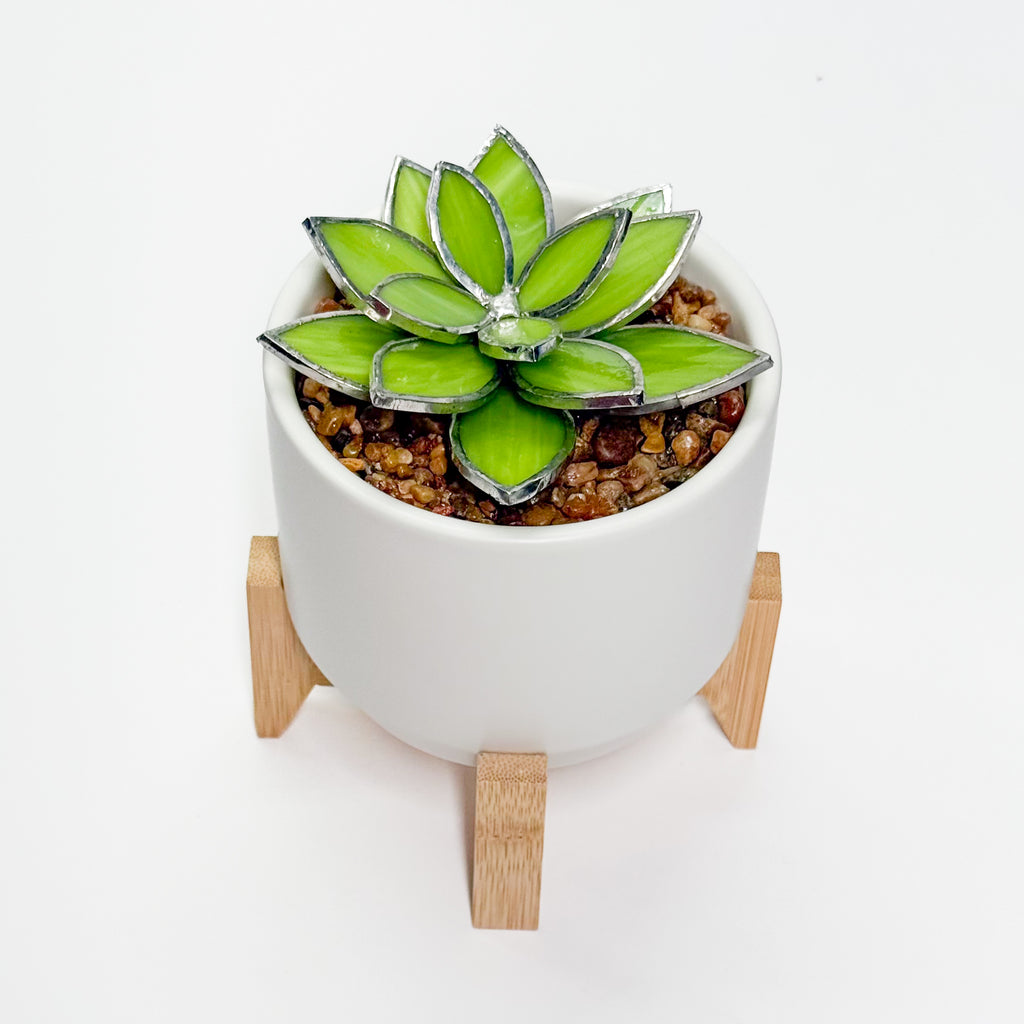 3D Stained Glass Opalina Succulent