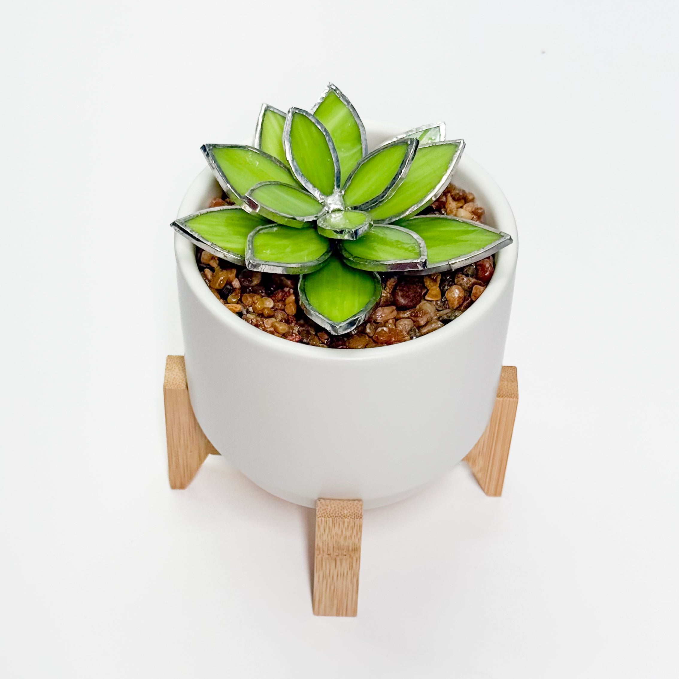 3D Stained Glass Opalina Succulent