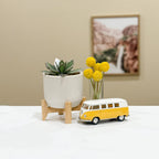 Hens & Chicks Succulent