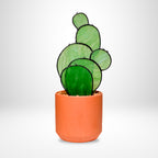 Prickly Pear Cactus