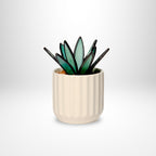 Agave Plant