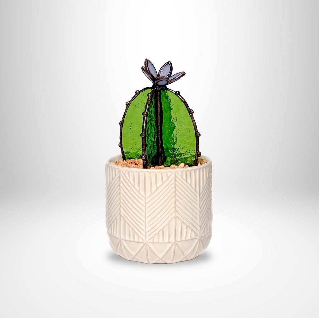 Barrel Cactus - Transparent