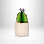 Barrel Cactus - Transparent