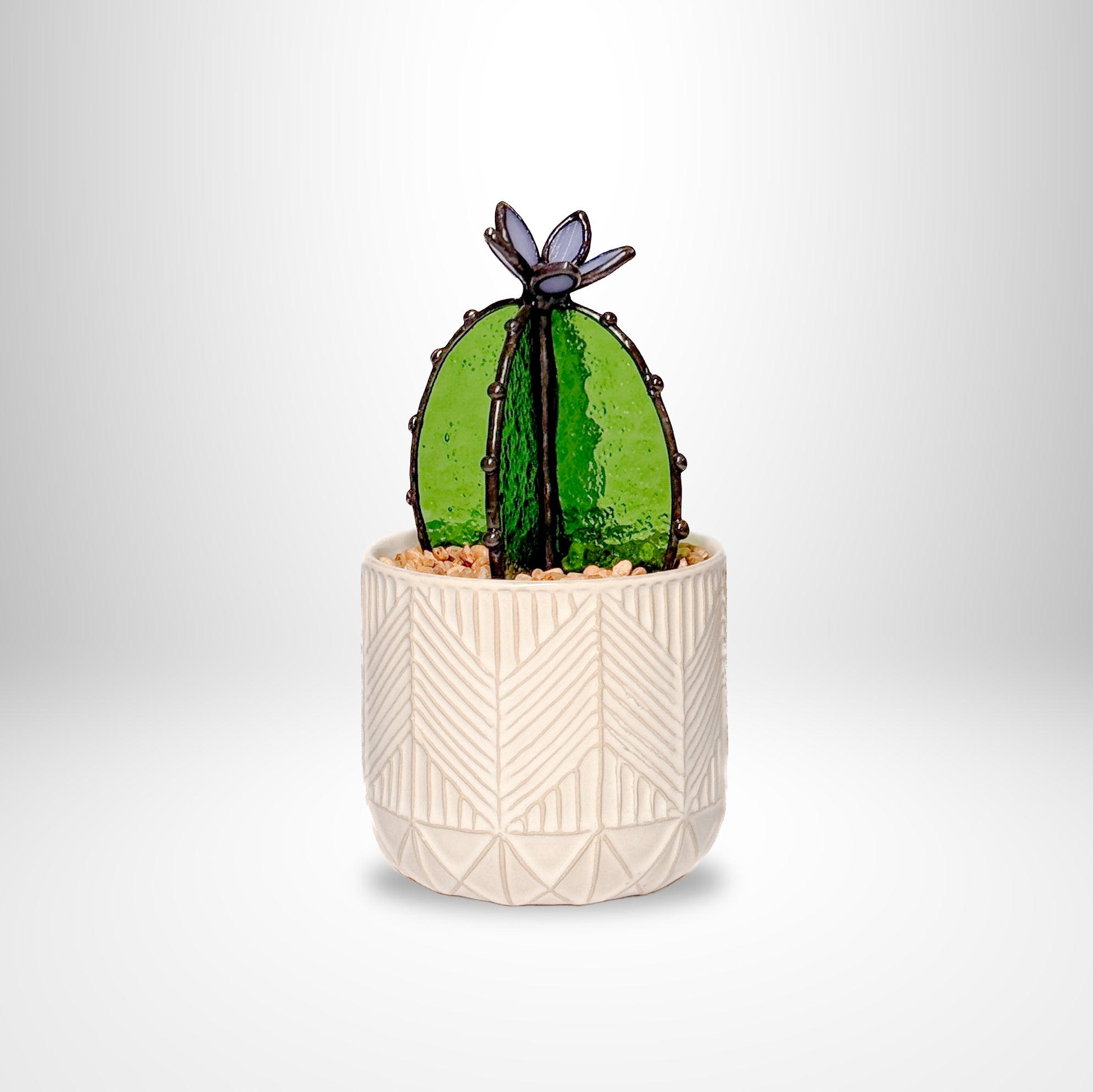 Barrel Cactus
