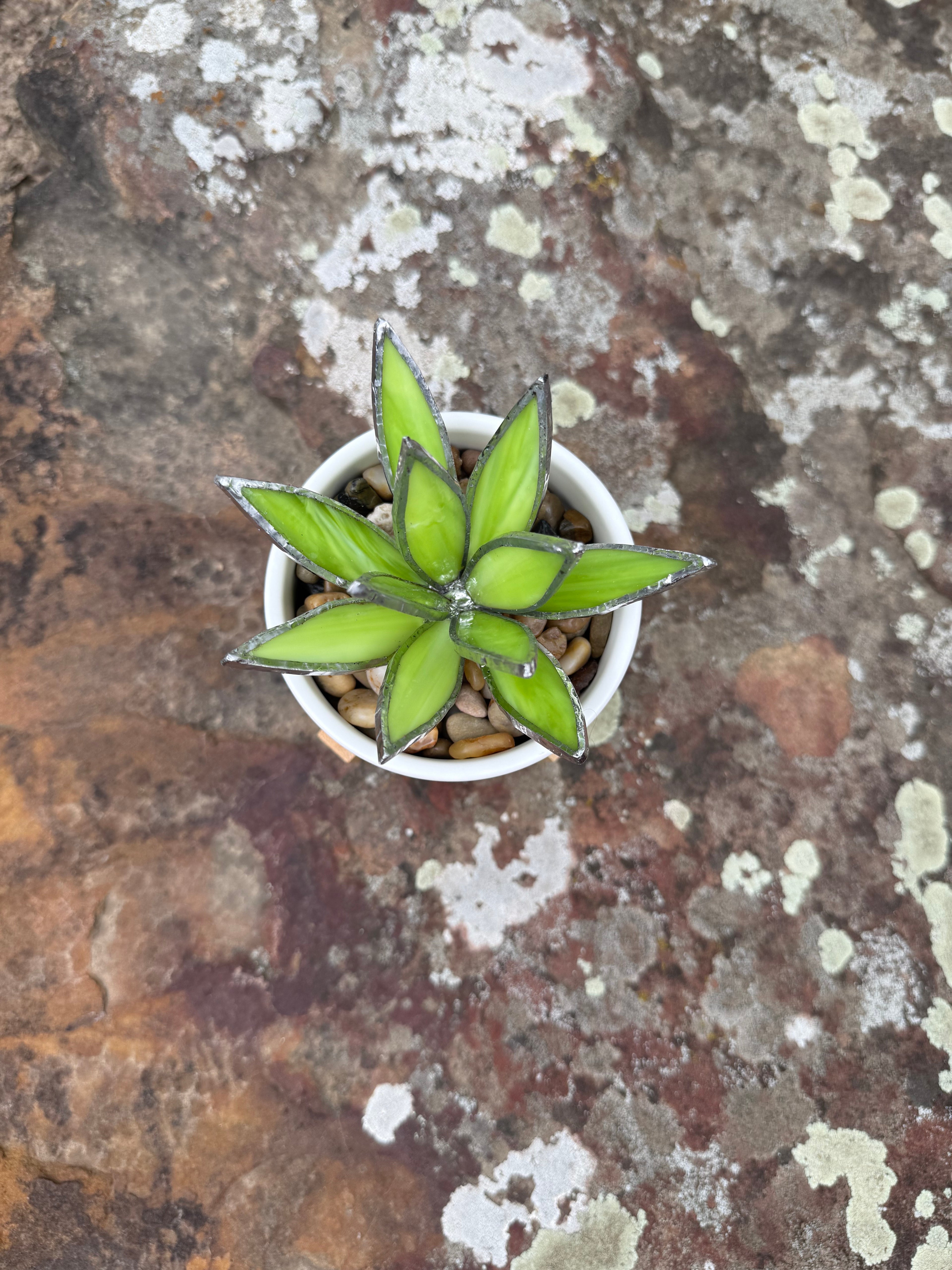 3D Stained Glass Agave Plant