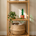 Sentia Cactus - Large
