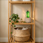 Sentia Cactus - Small