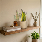 Snake Plant - Medium